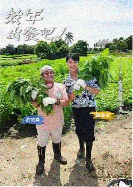热度榜第三角色档案